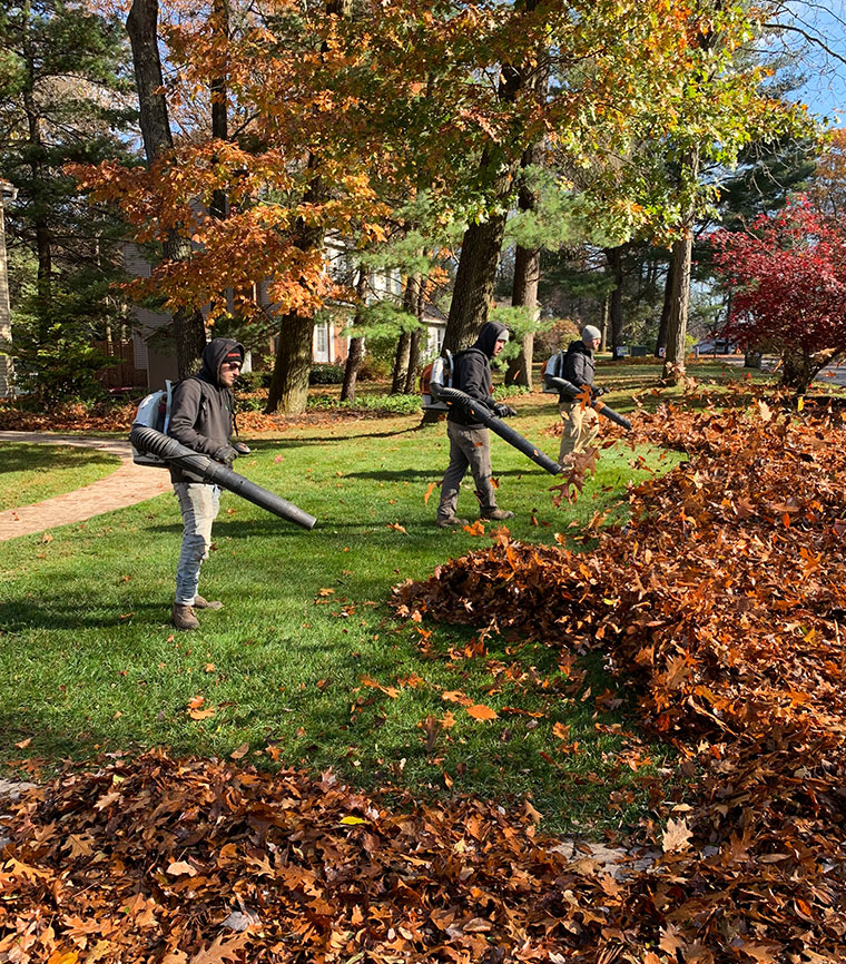 Three crew members using backpack blowers to clear fall leaves from a lawn