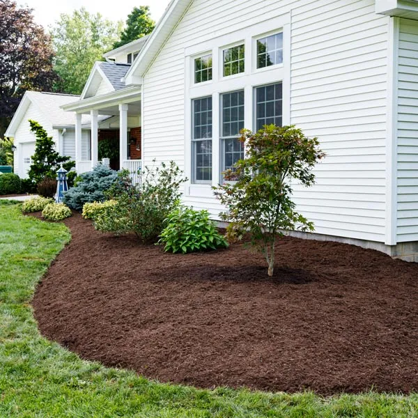 Freshly installed dark mulch bed with curved edging around a white home